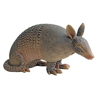 Tank the Armadillo Garden Statue - Image 3