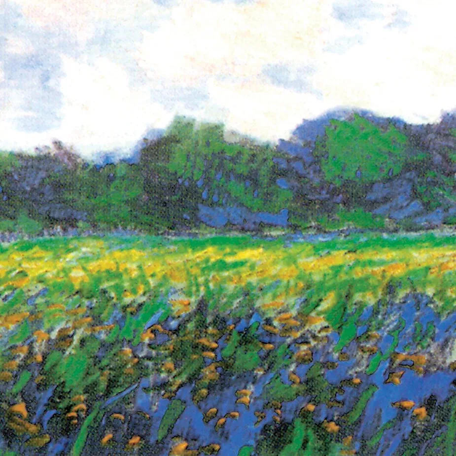 Field of Yellow Irises at Giverny Framed Canvas Replica Painting: Medium