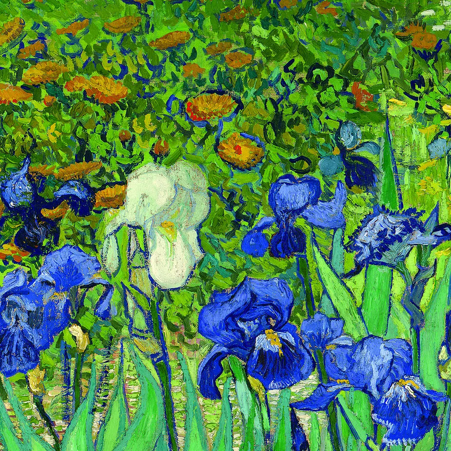 Irises Framed Canvas Replica Painting: Large