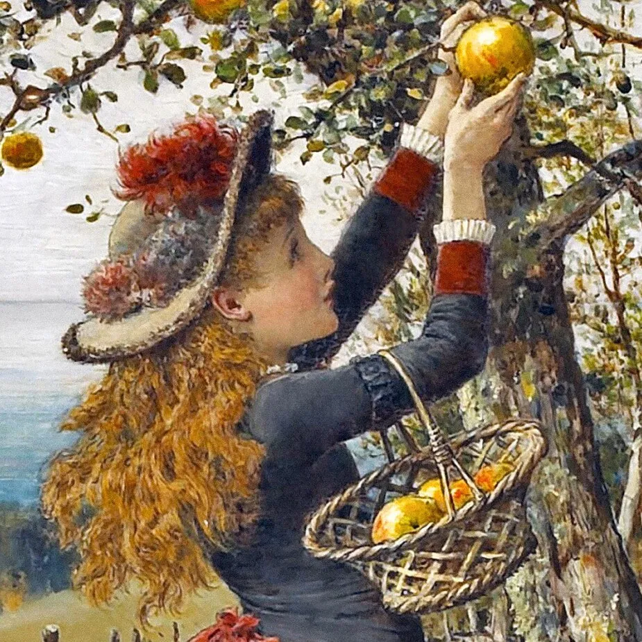 Picking Apples Framed Canvas Replica Painting: Medium