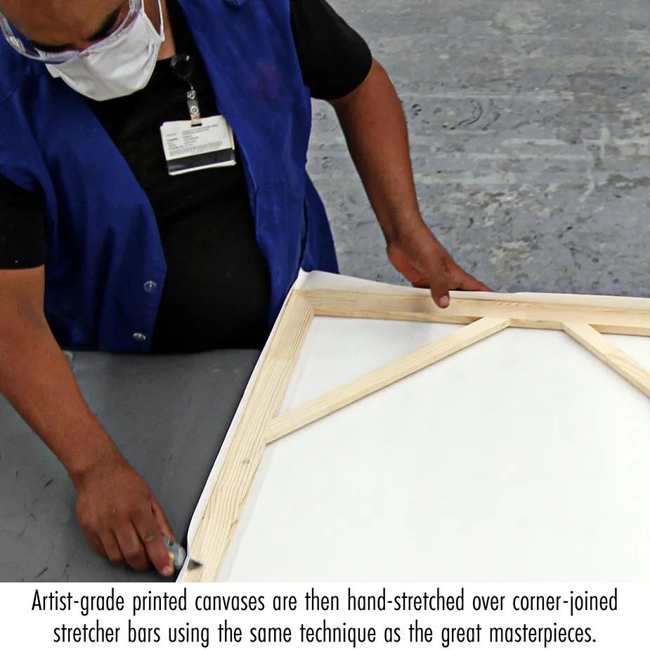 The Shadow Framed Canvas Replica Painting: Medium